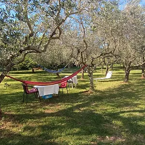 Appartement Gabriela